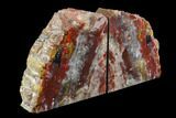 Tall, Arizona Petrified Wood Bookends - Rainbow Colored #145340-2
